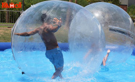 purchase a zorb ball popular 2022 